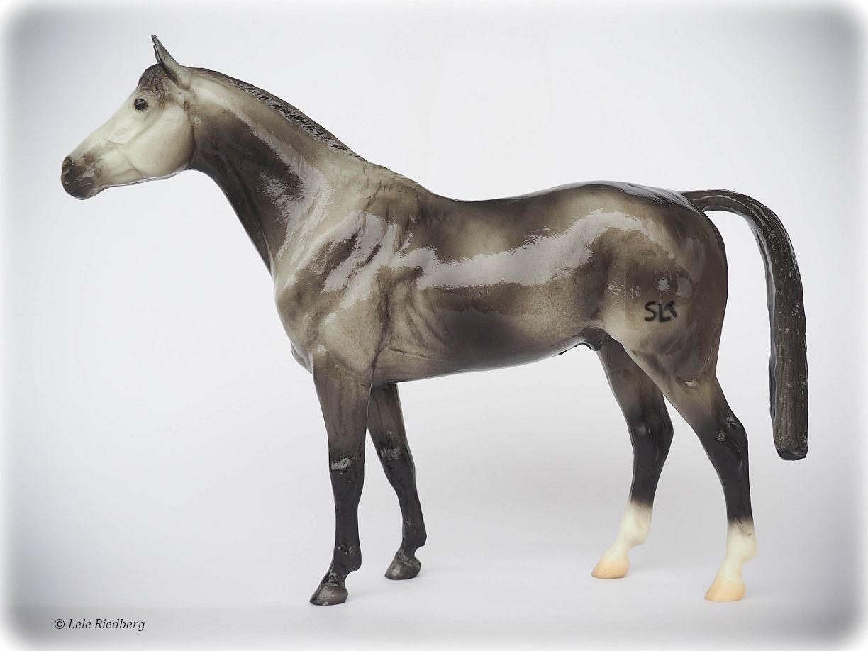 Millennium Mist - Dapple Grey Trakehner | BreyerHorseRef